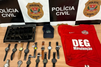 Objetos recuperados e apreendidos pela Polícia Civil — Foto: Polícia Civil