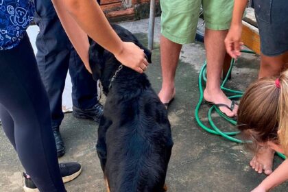 Guarda Civil de Capivari prende mulher por maus-tratos contra cachorro - Foto: Guarda Civil Capivari