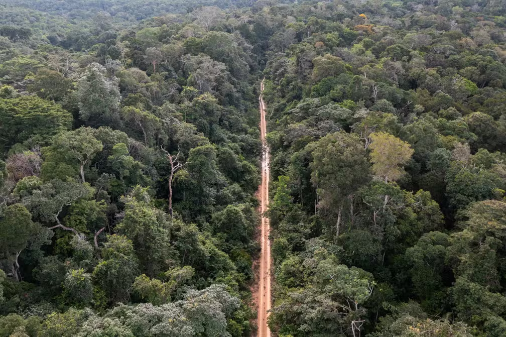 Amazônia em Perigo: Estudo Alerta para Risco de Colapso até 2025