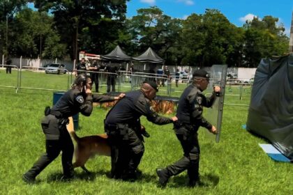 Capivari é destaque no Campeonato de Cães de Polícia em Monte Mor - Foto: Polícia de Capivari