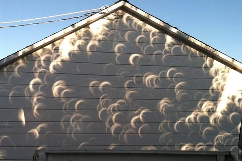 Eclipse solar total cria efeito curioso de pequenos círculos em sombras de árvores — Foto: Reprodução/Redes Sociais
